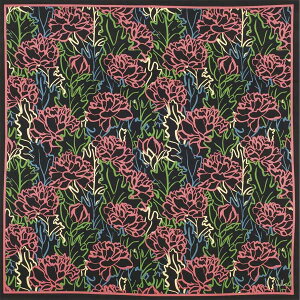 Oz 64-SM21-B Vr ȑӂ낵uCALAS(JX) ubNv1 118cm [J[i ӂ낵 C~ C~ ΂  _ t@bV G v[g Mtg 