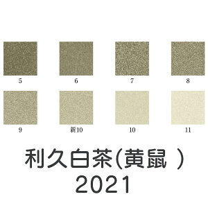 HGy VʊGux(l)(2021)1kgv[J[i uhiƕs x[W G G G̋ G { fUC G F v[g Mtg(s)