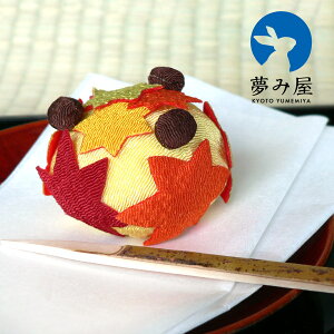 ݉ KKN-29 Ô--uсv[J[i ߂aَq Ȃ  u G v[g Mtg  䋟  