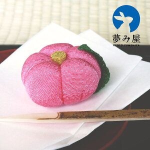 ݉ KKN-5 Ô--ug~v[J[i ߂aَq Ȃ  u G v[g Mtg  䋟  