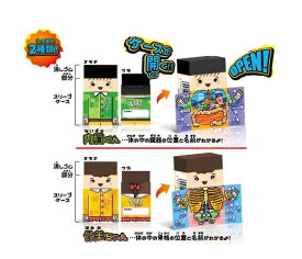 【メール便可】2種X2個セット 人体くん 内臓くん 骨美ちゃん まとまるくん ないぞうくん ほねみちゃん 消しゴム プレゼント 新学期 ヒノデワシ