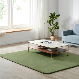 ���O �ᔽ�� �͂��� ���O�}�b�g �Ɍ�25mm �R�ۖh�L 200×250cm �J�[�y�b�g ���� ����~�� �􂦂� �p�^ ���� ���g�[ �z�b�g�J�[�y�b�g ������� �h�J�r �h�_�j