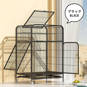 L P[W LbgP[W 3i L݌v Rgݍ킹 g[t LhAt nbNt ^ LQ[W   LbgnEX lR nEX i  ی Eh~ 