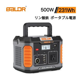 BALDR|[^ud PSEF؍ g Ԓ Lv h d΍ pd R1004