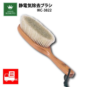 OhCPg muV ÓdCuV JV~AuV ߗނ̃eiX uV CPg GRAND IKEMOTO IKC3822