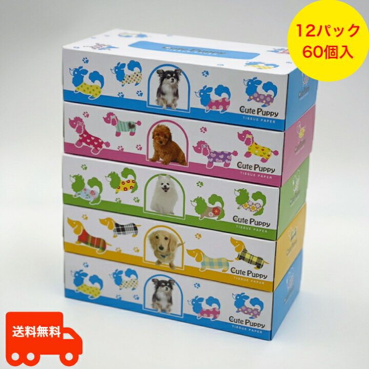 楽天市場】CutePuppy5P ボックスティッシュ 5個パック 60入 犬 犬の柄 