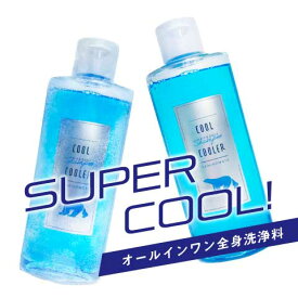 クールクーラー ひんやり 冷感 ボディソープ クールシャンプー 190g 1本 2本 3本 / 送料無料 加美乃素 爽快感 オールインワン ボディウォッシュ メントール 制汗 汗臭 氷冷 夏 冷却 涼感 熱中症対策 暑さ対策 メンズ 男性 女性 アウトドア サウナ 全身 かみのもと 加美の素