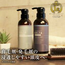 加美乃素デルタ スカルプシャンプー コンディショナー セット 300ml 各1本 / 送料無料 育毛シャンプー 抜け毛 フケ かゆみ 臭い 頭皮臭 シャンプー リンス 冷感 汗臭対策 メンズ 男性用 女性用 育毛頭皮 皮脂 すっきり 洗浄 抜け毛予防 男女共用 加美の素 かみのもと
