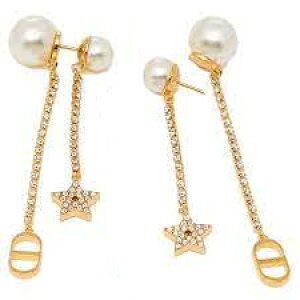 Christian DiorNX`fBI[X^[CjVCDSzCgWp[sAXS[hXCO^`F[̃ANZg gCo^샂`[t PIERCED D301GD