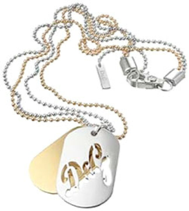 楽天市場】D&G ネックレス ジュエリーシルバータグプレート 筆記  