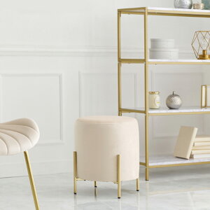 X^bLO [X^CXc[kT`FA ی^|傤ǂTCỸVvł킢֎q_CeAƋ ~xAnCXzCgAC{[ CgO