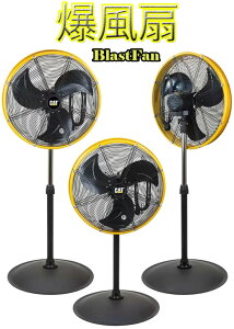 ̕ʂN^@LItBX╔̑̈فAH̊CȂǂɎU@\X^ht@T[L[^[tArbOt@΍AC̓ւ a50cm