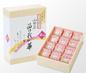 ]̉؁@12ypzyMtgpz6d̃GLX~