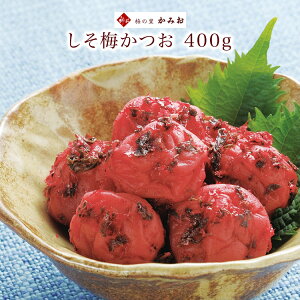 y11]̔~gpzȂY~ 400g