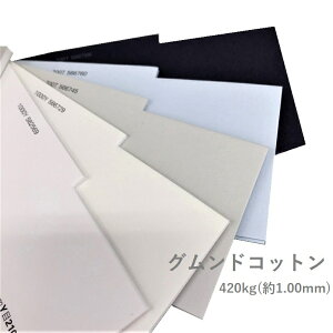 11ő800~OFFN[| yꎆzOhRbg 420kg(1.00mm) A3 25yt@V[y[p[ t J[z