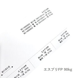 6月最大350円OFFクーポン 【 アウトレット 】エスプリFP 90kg(0.11mm)