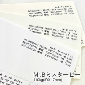 セール限定250円OFFクーポン 【特殊紙】Mr.B ミスタービー 110kg(0.17mm) A3 50枚【ファンシーペーパー 印刷用紙】