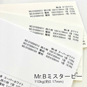 9ő800~OFFN[| yꎆzMr.B ~X^[r[ 110kg(0.17mm) B5 50yt@V[y[p[ pz