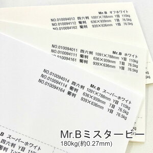 9ő800~OFFN[| yꎆzMr.B ~X^[r[ 180kg(0.27mm) B5 50yt@V[y[p[ pz