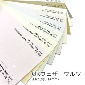 10ő800~OFFN[| yꎆzOKtFU[c 90kg(0.14mm) B5 100 Iׂ9Fyt@V[y[p[ p \ EFfBO uC_ uh͗l a m  Vюz