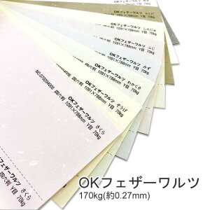 9ő800~OFFN[| yꎆzOKtFU[c 170kg(0.27mm) B5 50Iׂ9Fyt@V[y[p[ p \ EFfBO uC_ uh͗l a m  Vюz