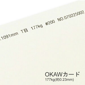 9ő800~OFFN[| yꎆzOKAWJ[h 177kg(0.23mm) B5 100yt@V[y[p[ pz