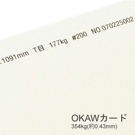 4月最大350円OFFクーポン 【特殊紙】OKAWカード 354kg(0.43mm) B4 100枚【ファンシーペーパー 印刷用紙 厚い紙 厚紙】