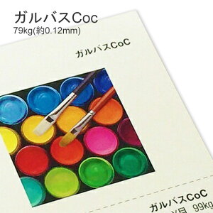 11ő800~OFFN[| yꎆzKoXCoC 79kg(0.12mm)yt@V[y[p[z