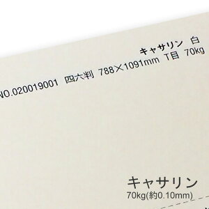 11ő800~OFFN[| yꎆzLT 70kg(0.10mm)y hH p v 炩 ML NM KXy JOtBz