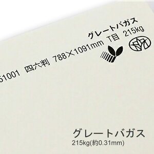 10ő800~OFFN[| yꎆzO[goKX 310kg(0.47mm)yp hHp  z
