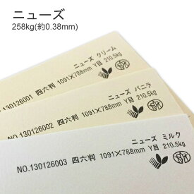 6月最大800円OFFクーポン 【特殊紙】ニューズ 258kg(0.38mm)　選べる2色【ファンシーペーパー 厚紙】