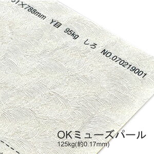 9ő800~OFFN[| yꎆzOK~[Yp[ 125kg(0.17mm) B4 100yt@V[y[p[ p p[H a  ͗lz