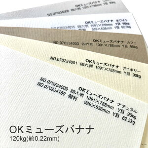 9ő800~OFFN[| yꎆzOK~[Yoii 120kg(0.22mm) A4 100Iׂ5Fyt@V[y[p[ p C͗lz