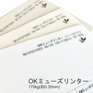 9ő800~OFFN[| yꎆzOK~[Y^[ 170kg(0.35mm) A3 50Iׂ3Fyt@V[y[p[ p  ӂӂ z