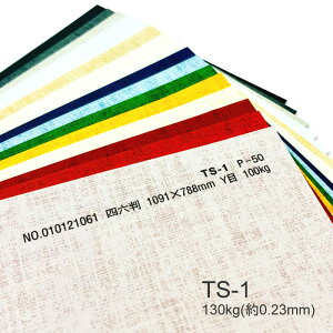 9ő800~OFFN[| yꎆzTS-1(^gZNg1) 130kg(0.19mm) A4 100Iׂ6Fyt@V[y[p[ p ^͗l G{X Ao䎆 r[ K[hz