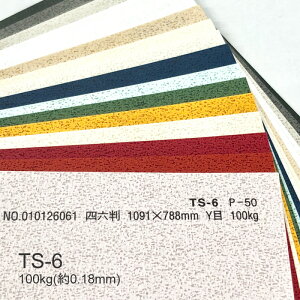 9ő800~OFFN[| yꎆzTS-6(^gZNg6) 100kg(0.18mm) A3 100Iׂ3Fyt@V[y[p[ p ^͗l G{Xz