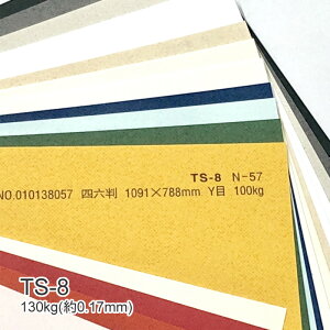 9ő800~OFFN[| yꎆzTS-8(^gZNg8) 130kg(0.17mm) B4 100yt@V[y[p[ p ^͗l G{Xz