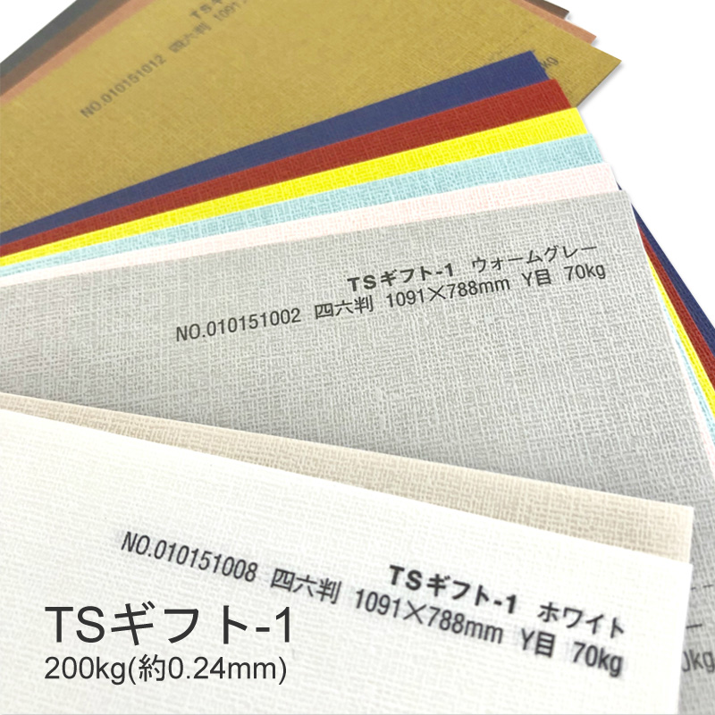 TSギフト-1 タントセレクトギフト-1 新発売 200kgラフな布目を感じさせるエンボスパターンが特徴 特殊紙 大人も着やすいシンプルファッション 200kg 0.24mm エンボス 型押し模様 選べる12色 ファンシーペーパー 印刷用紙
