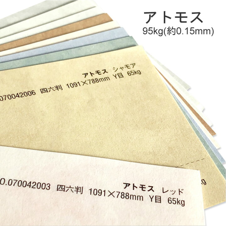 未使用 TSギフト-1 タントセレクトギフト-1 200kg 0.24mm A4 50枚選べる12色 タントセレクト TS−1 <130kg>N-1 A4(210x297mm) 50枚