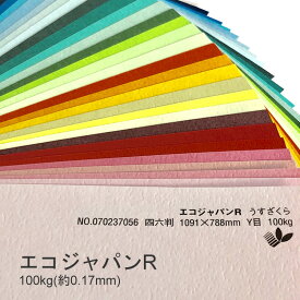 5月最大350円OFFクーポン 【特殊紙】エコジャパンR 100kg(0.17mm) B5 50枚選べる45色(な～わ行)【ファンシーペーパー 印刷用紙 古紙配合10% 型押し模様 エンボス 再生紙 ラフ肌】