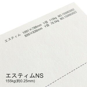 9ő800~OFFN[| yꎆzGXeBNS 155kg(0.25mm) A3 50yCNWFbgΉ v^[pz