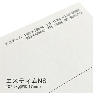 9ő800~OFFN[| yꎆzGXeBNS 107.5kg(0.17mm) A4 100yCNWFbgΉ v^[pz