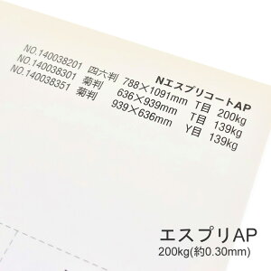 9ő800~OFFN[| yꎆzGXvAP 200kg(0.30mm) A3 50yv^[p LXgR[gz