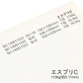 4月最大350円OFFクーポン 【特殊紙】エスプリC 110kg(0.11mm)【プリンター用紙 キャストコート】