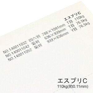 9ő800~OFFN[| yꎆzGXvC 110kg(0.11mm) B4 100yv^[p LXgR[gz