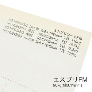 10ő800~OFFN[| yꎆzGXvFM 90kg(0.11mm) A3 50yLXgR[g ܗp ccz