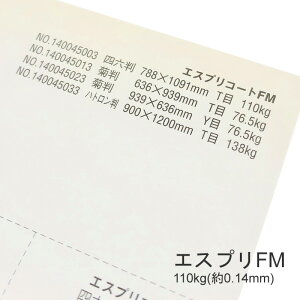 10ő800~OFFN[| yꎆzGXvFM 110kg(0.14mm) B5 100yLXgR[g ܗp ccz