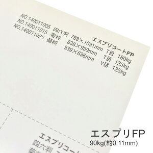 10ő800~OFFN[| yꎆzGXvFP 90kg(0.11mm) A3 100yLXgR[g ܗp ccz