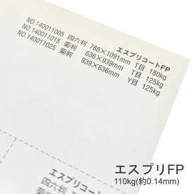 6月最大350円OFFクーポン 【特殊紙】エスプリFP 110kg(0.14mm) A3 100枚【キャストコート 製袋用 ツルツル】