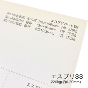 10ő800~OFFN[| yꎆzGXvSS-F 220kg(0.29mm) A4 100yLXgR[g Pg ccz